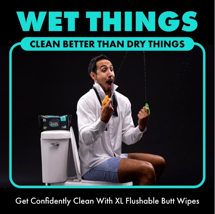 DUDE Flushable Wipes XL Mint Chill Wet Wipes 48 Ct 5 Pack 240 Total, New, Sale