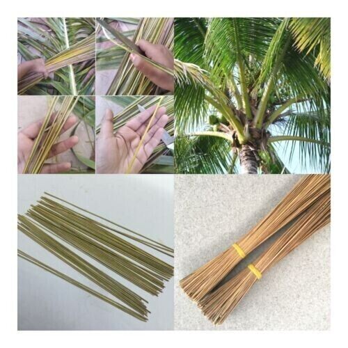 Natural Coconut Leaf midrib Stick/ Handmade Sri Lankan Craft Stick ( 25cm)