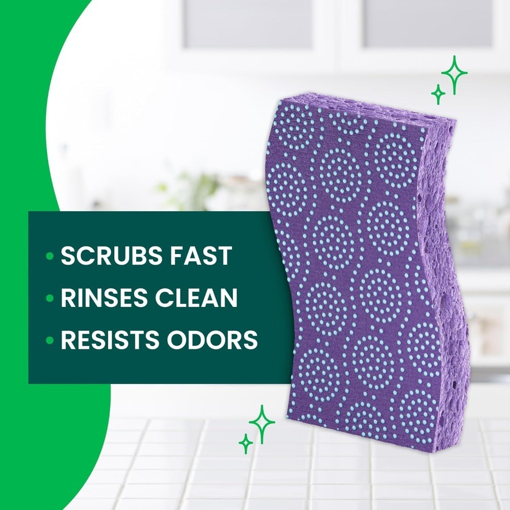 Odor Resist Non-Scratch Scrub Sponge, Dishwasher-Safe Kitchen Sponges that