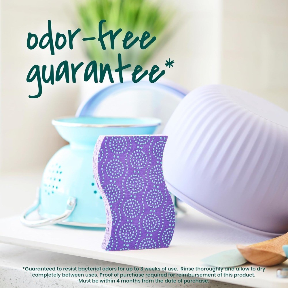 Odor Resist Non-Scratch Scrub Sponge, Dishwasher-Safe Kitchen Sponges that