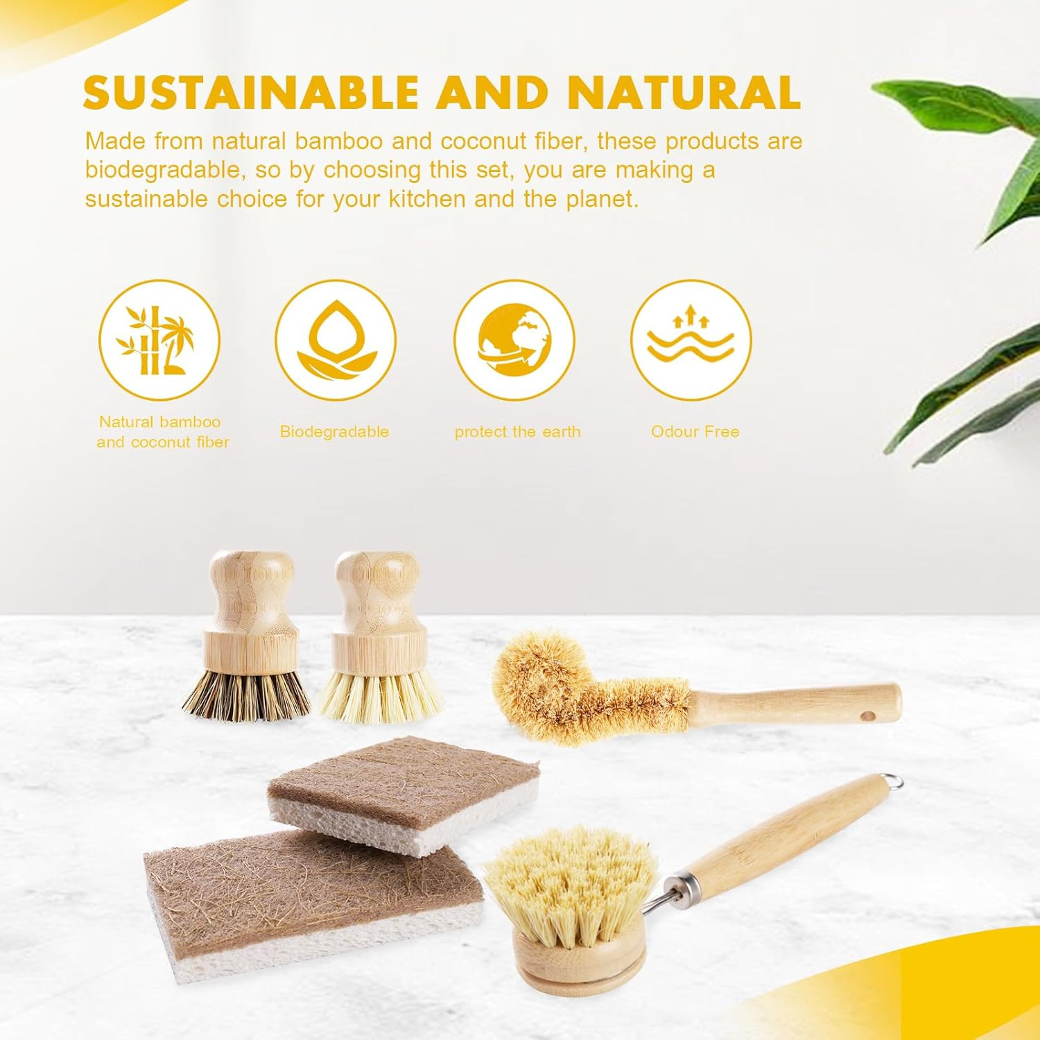 6 Piece Bamboo Dish Brush Set with Coconut Sponge – Wooden Dish Brush with Sisal