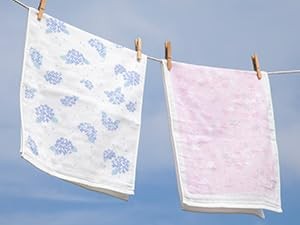 Japanese Hand Towel (Senshu Osaka Towel – Sakura) Cotton Towel/Made in Japan