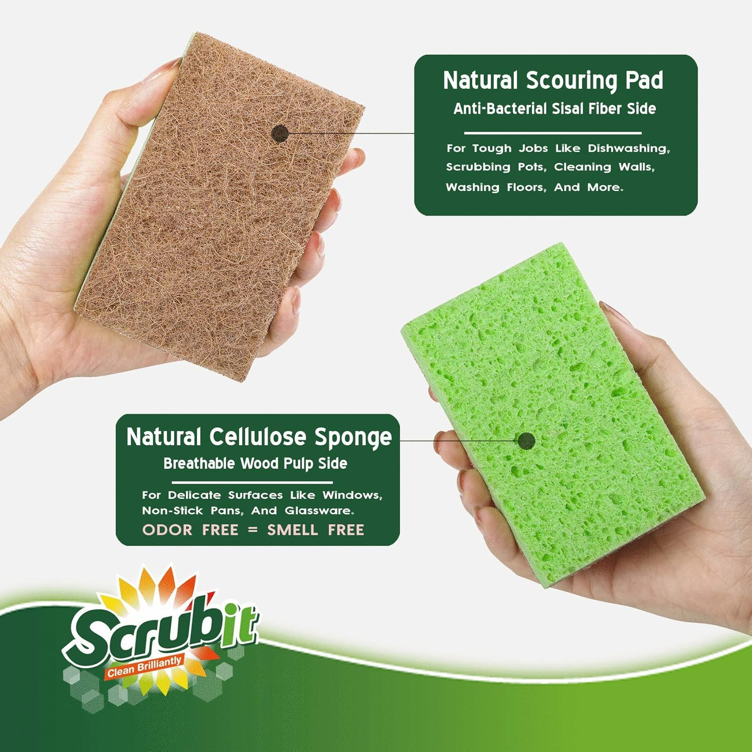 24 Pack Natural Sponges – Biodegradable Compostable Cellulose and Coconut Natura