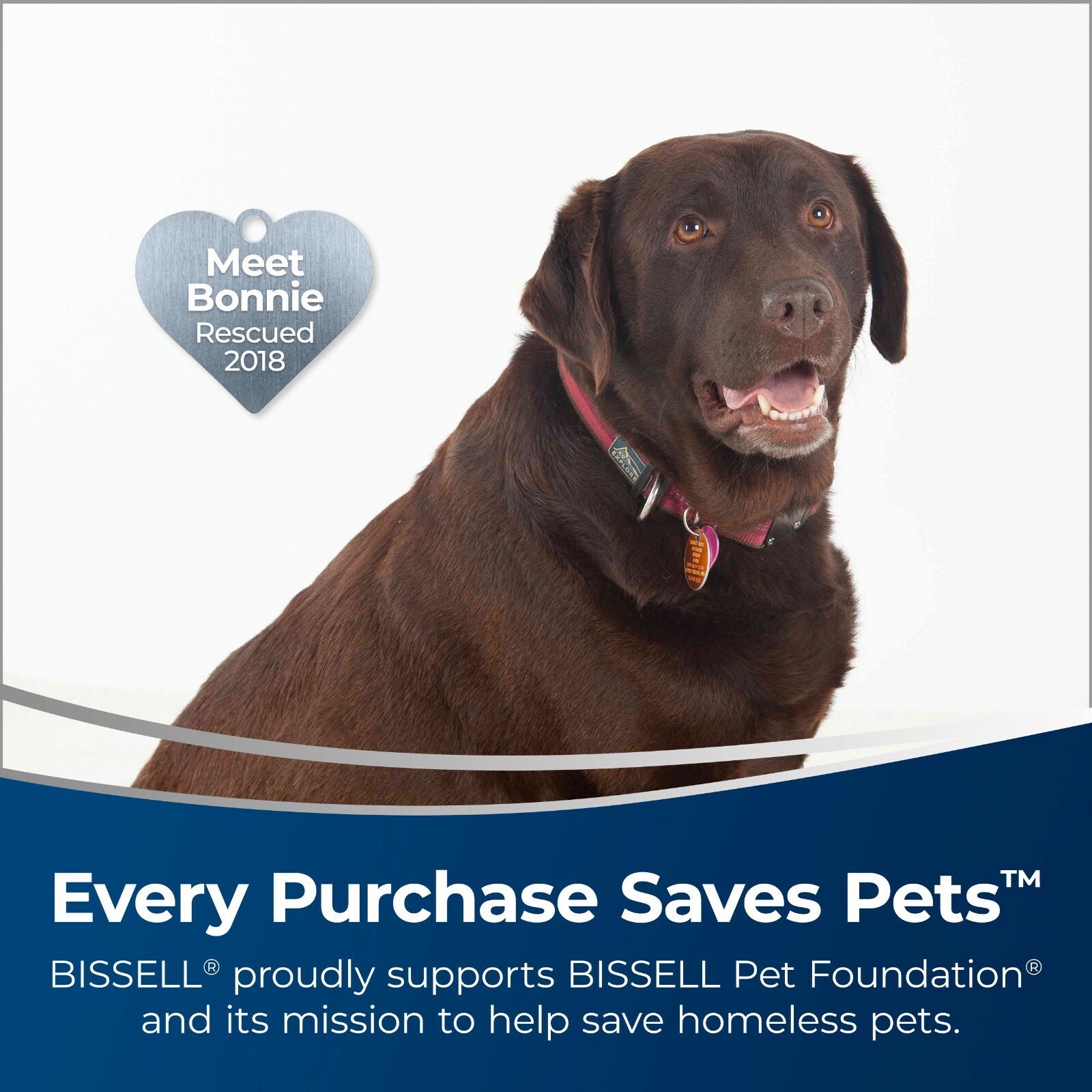 Bissell PowerFresh Deluxe Hard Floor Natural Steam Mop Cleaner | 1806 NEW!