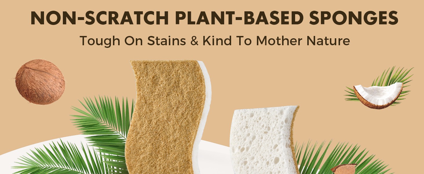 12 Pack Natural Biodegradable Kitchen Non Scratch Sponges,Compostable Plant