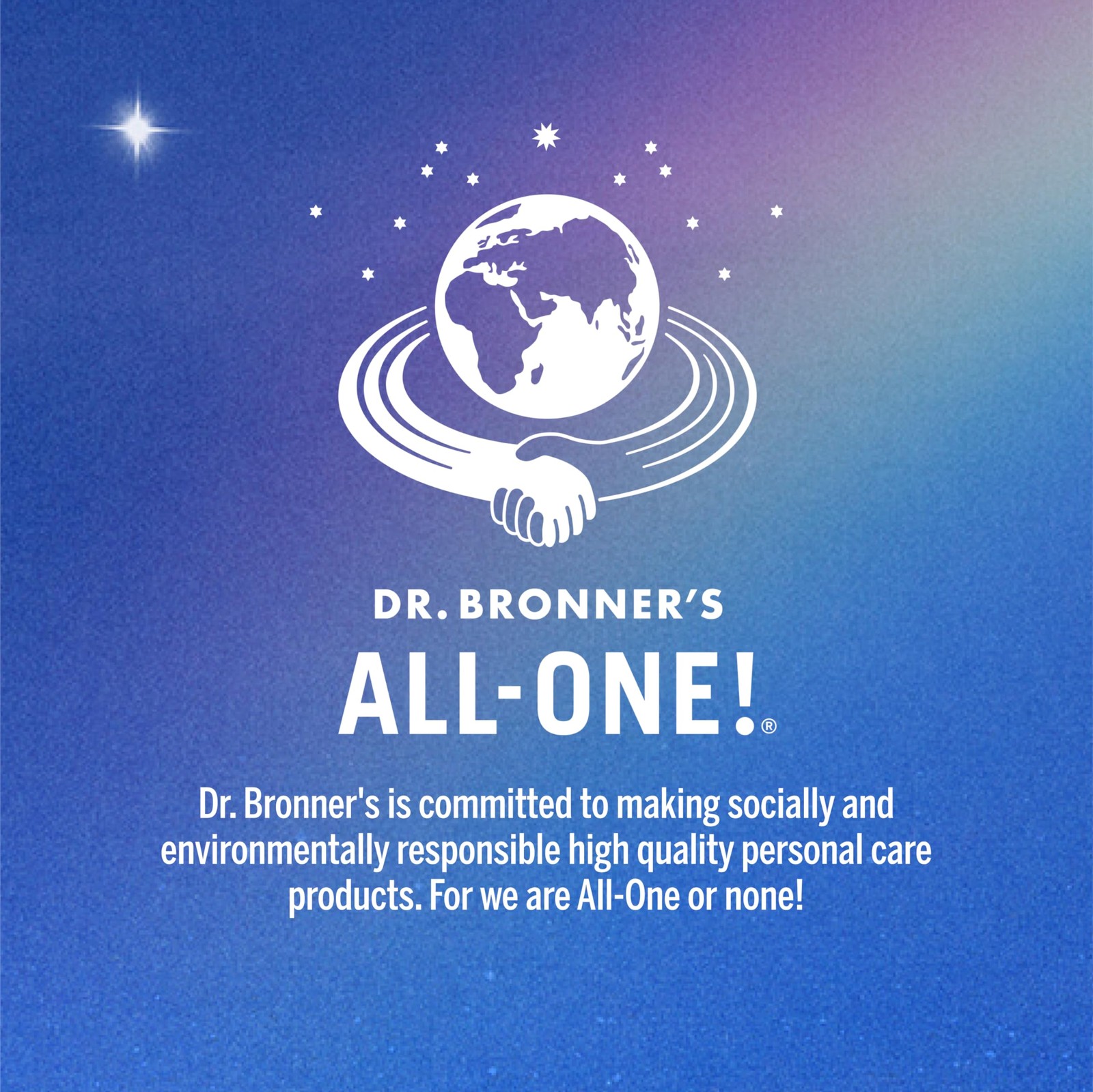 Dr. Bronner’s Sal Suds Biodegradable Cleaner (16 Ounce, 16 Fl Oz (Pack of 2)