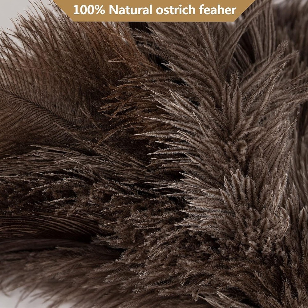 Ostrich Feather Duster, 16 inch Ostrich Feather Duster with Wood Handle