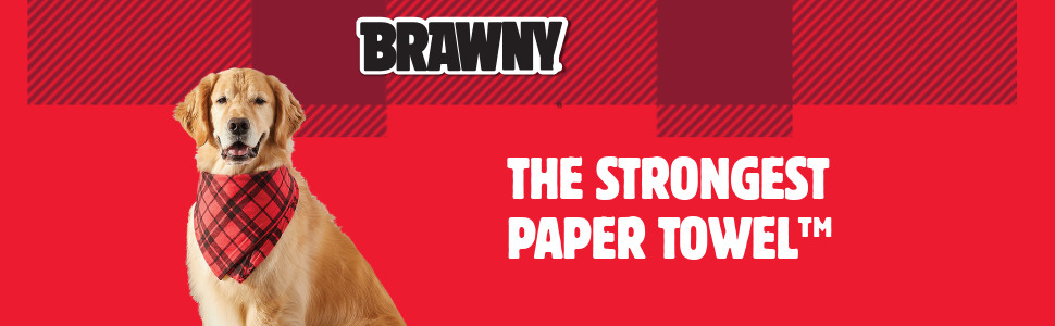 Tear-A-Square 3-Ply Paper Towels, 2 Triple Rolls = 6 Regular Rolls, Strong,