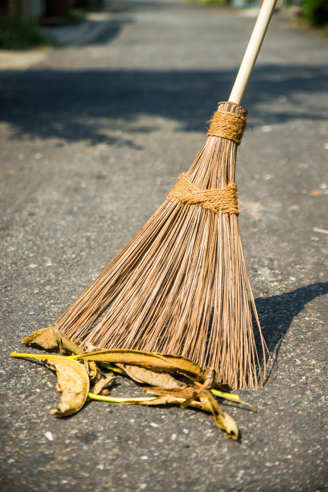 Soft Stiff Sweeping Yard Brush Outdoor Garden Cleaning Broom Wooden Handle ikel