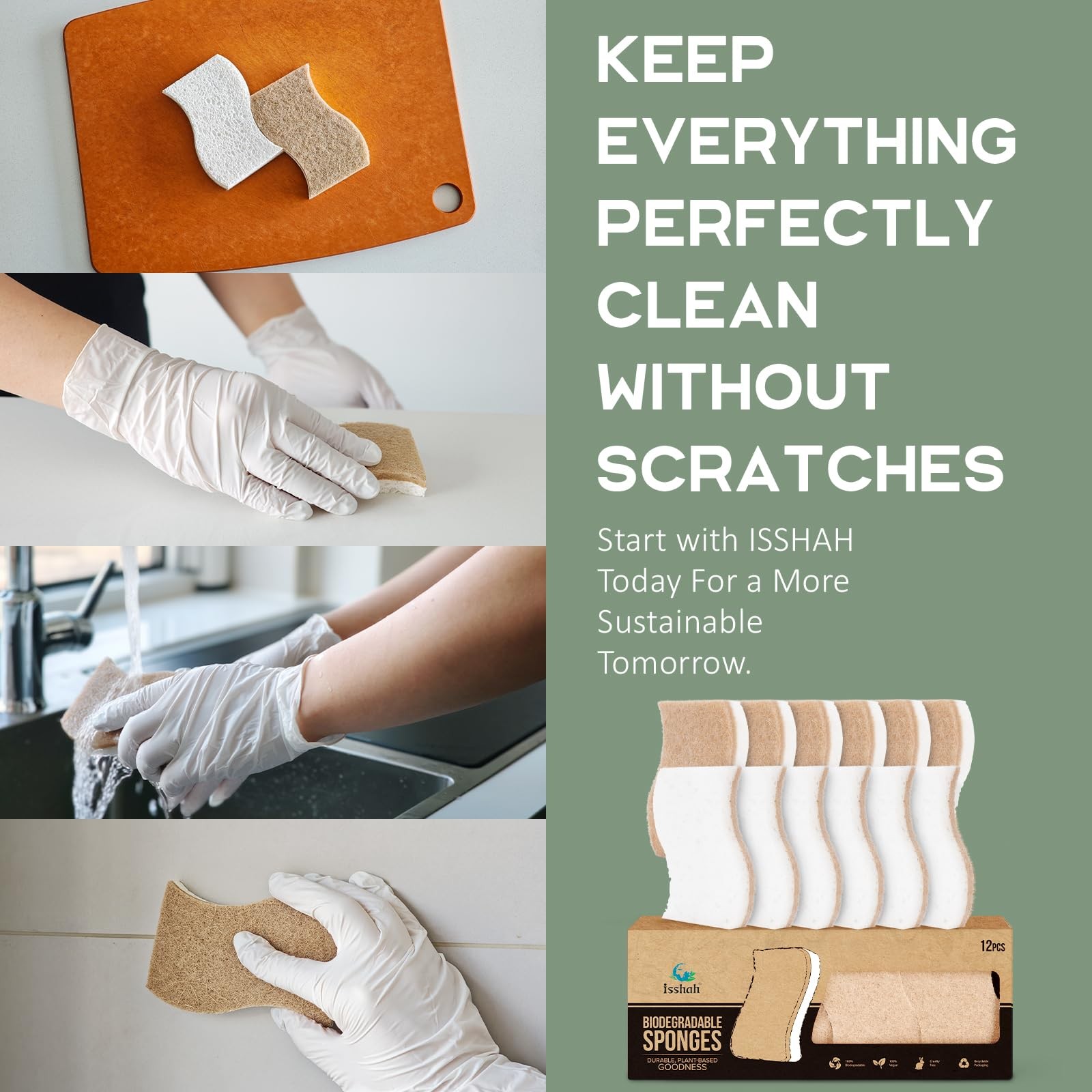 Isshah Plant-Based Kitchen Sponges – FSC Certified and PETA Approved, 12 Count