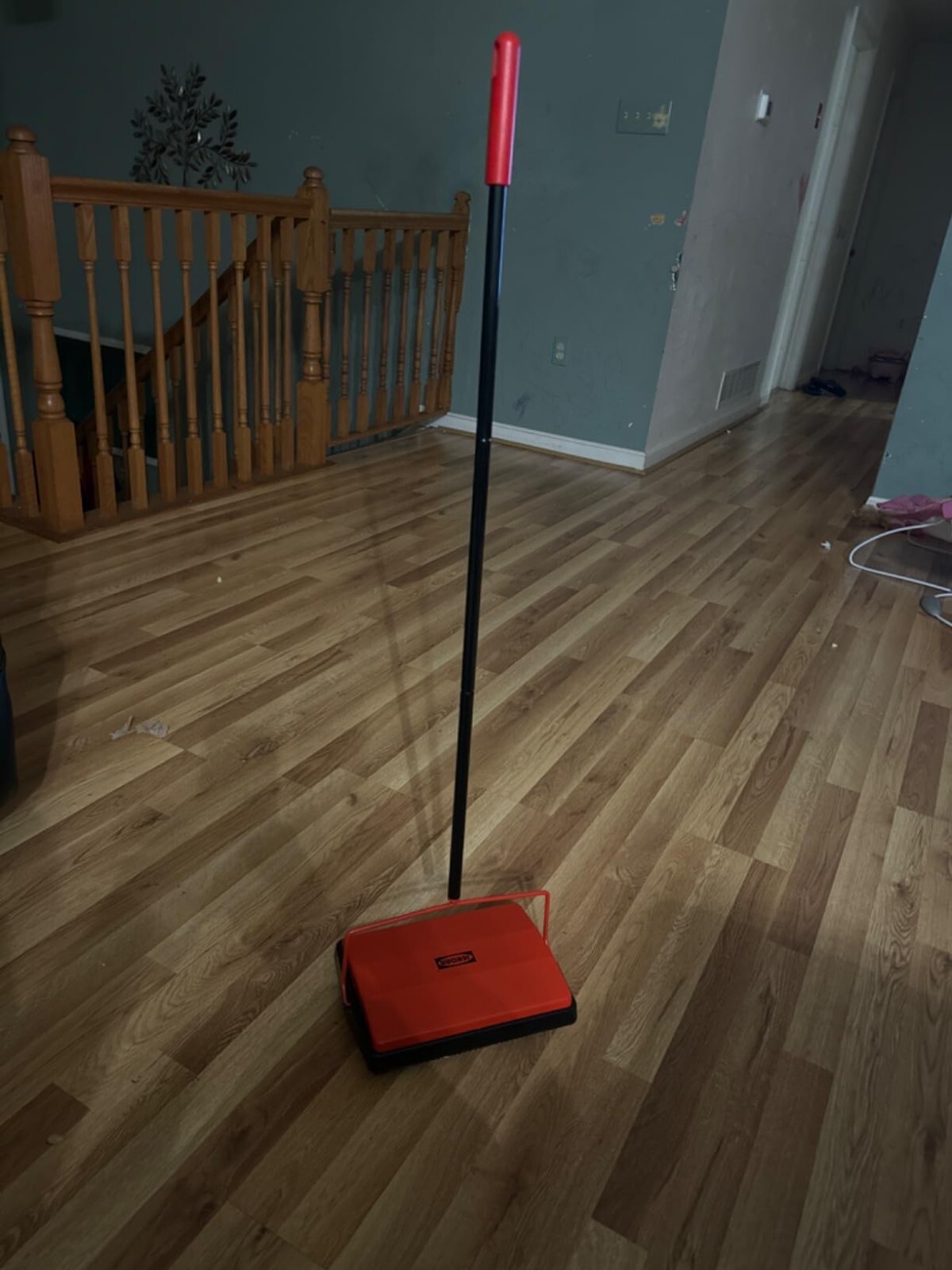 Carpet Floor Sweeper with Horsehair, Non Electric Manual Sweeping (Red)
