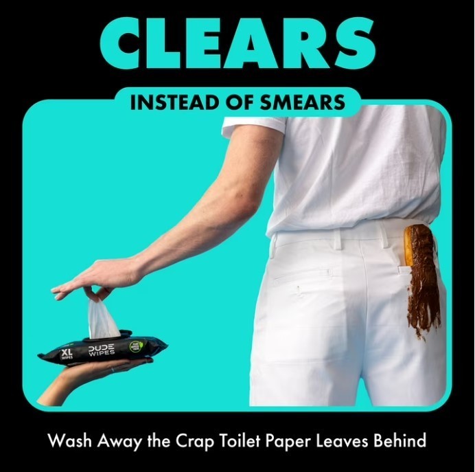 DUDE Flushable Wipes XL Mint Chill Wet Wipes 48 Ct 5 Pack 240 Total, New, Sale
