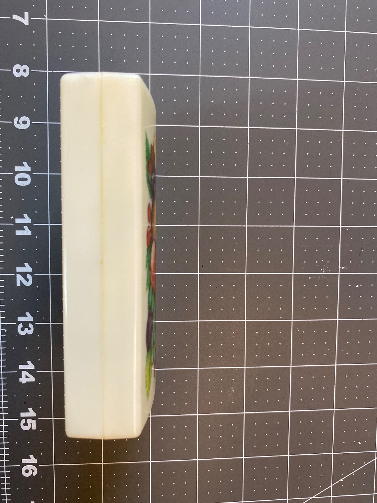 Retro Fuller Brush Crumb Sweeper Vintage Table Tidy Collectible bright fruit