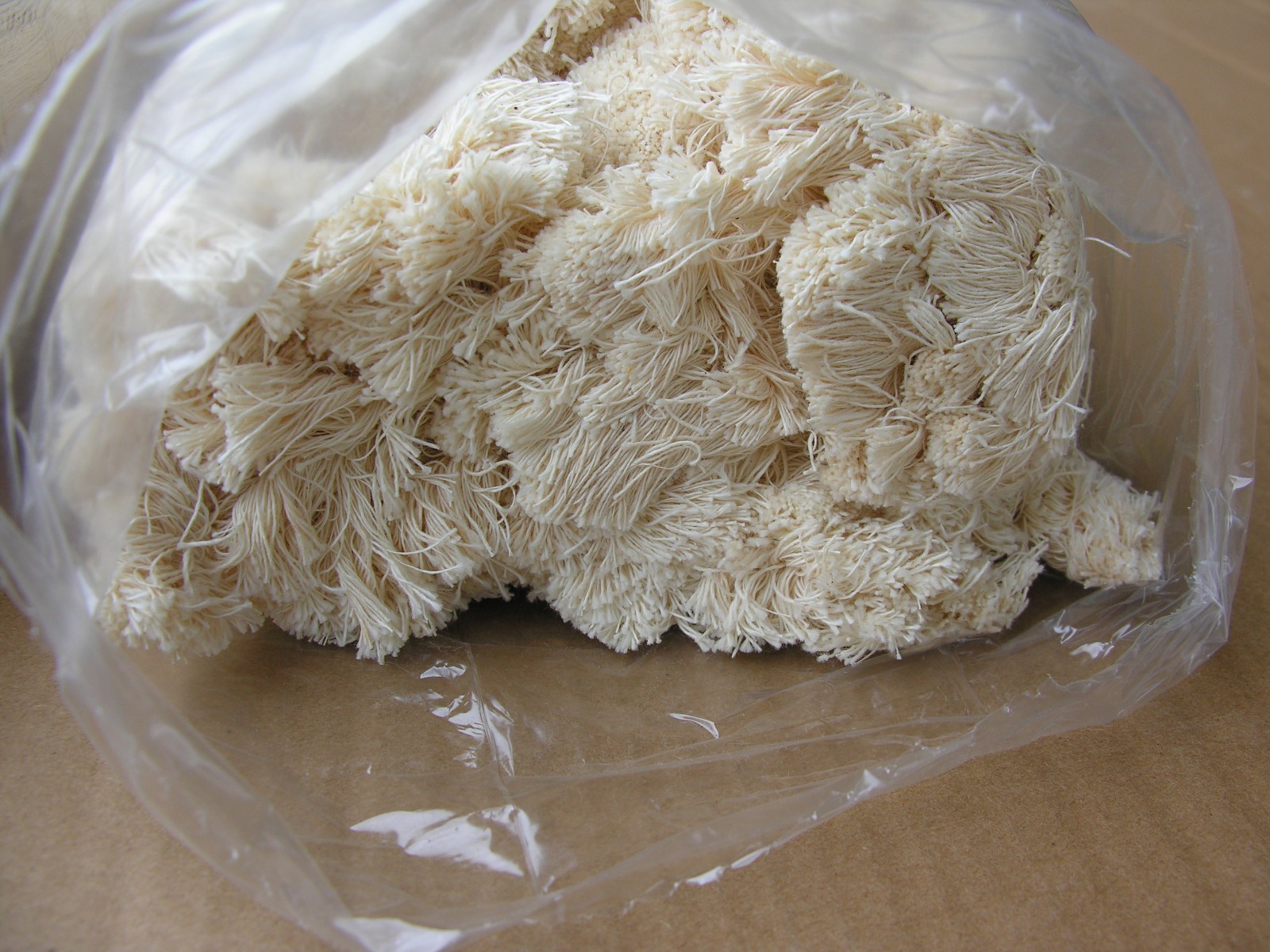 ( 2 ) COTTON ROOFING MOPS 4.Lb / Pin Type