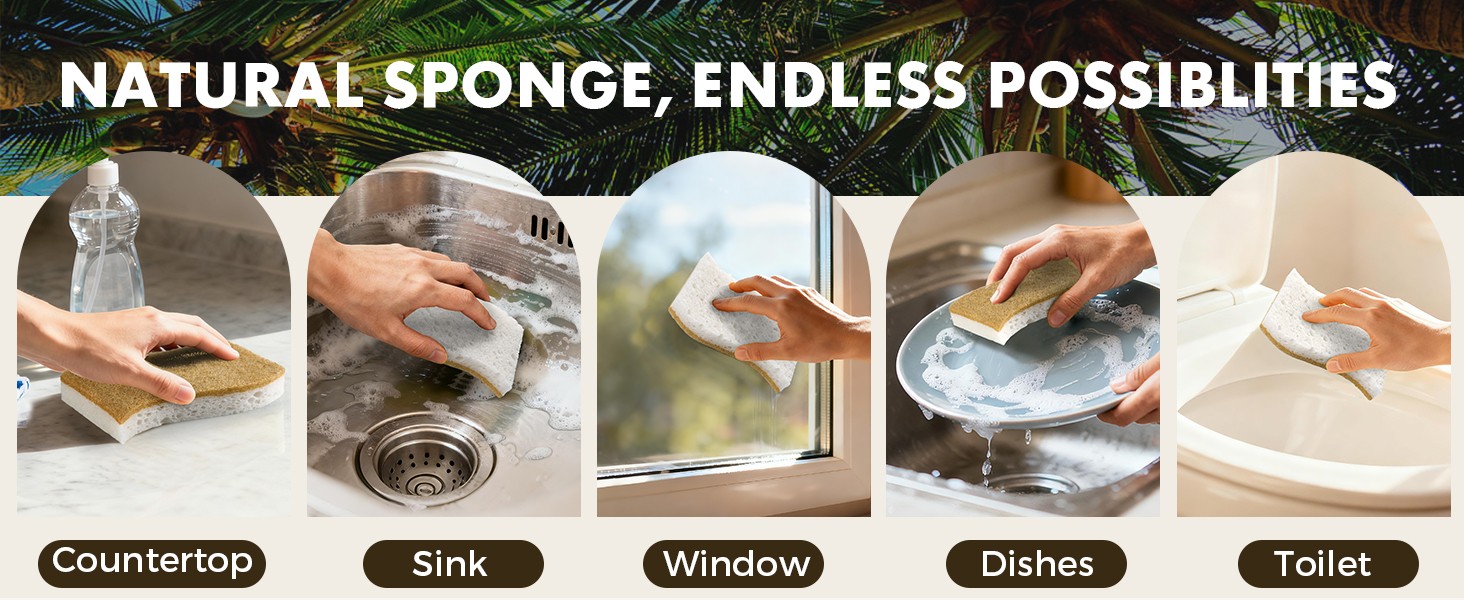12 Pack Natural Biodegradable Kitchen Non Scratch Sponges,Compostable Plant