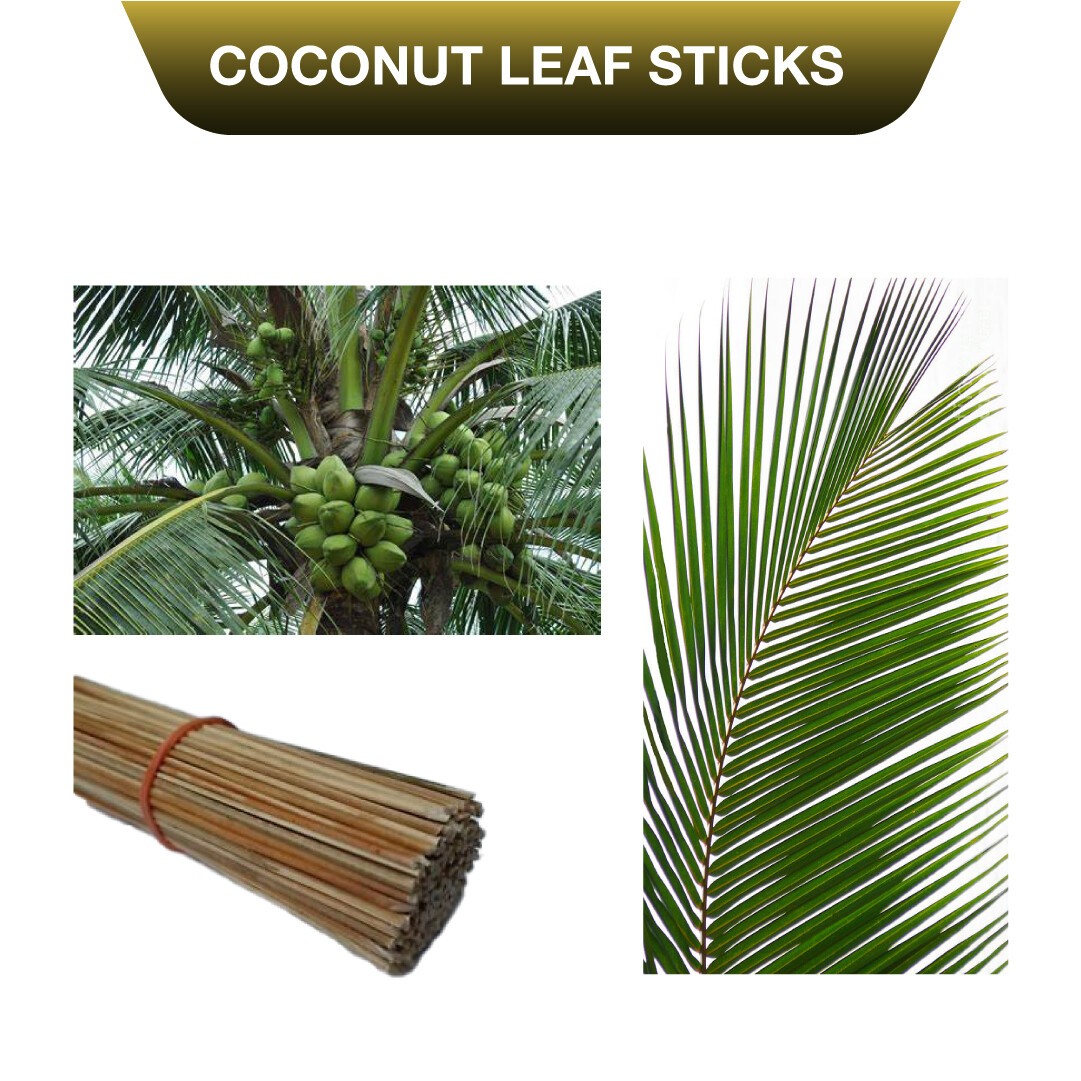 10-1000 pieces Coconut dried leaf 30cm sticks