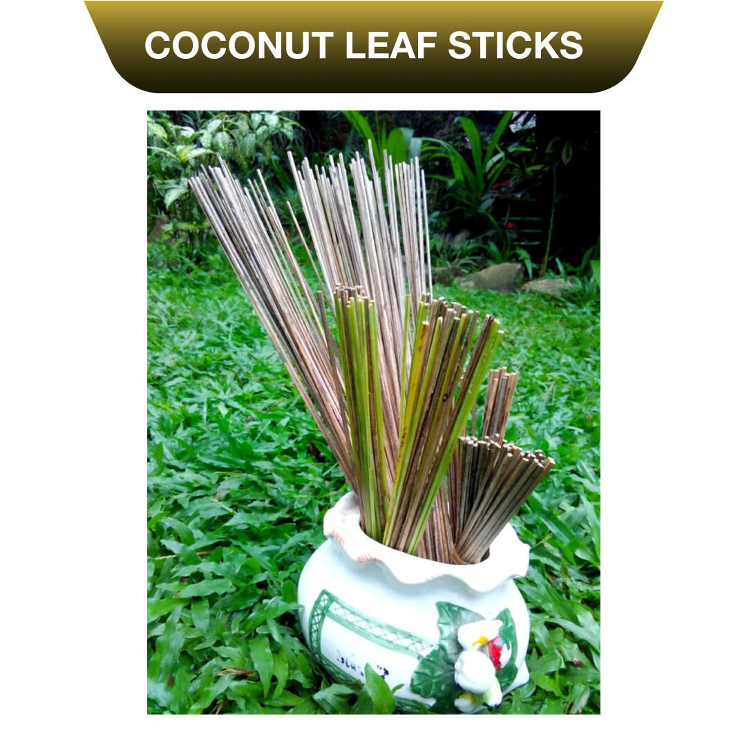 10-1000 pieces Coconut dried leaf 30cm sticks