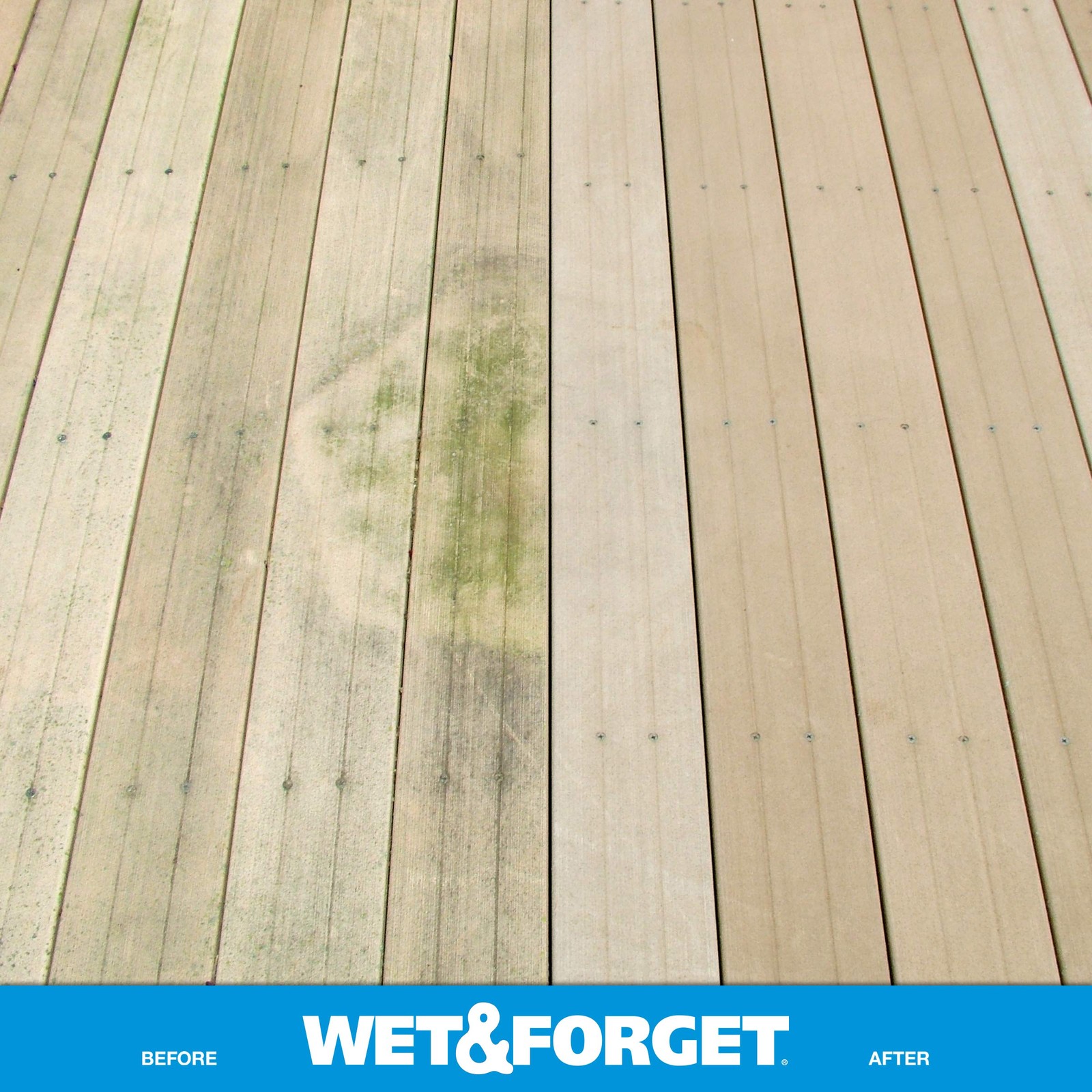 Wet & Forget Moss, Mold, Mildew, & Algae Gallon / 128 oz – Old, Original