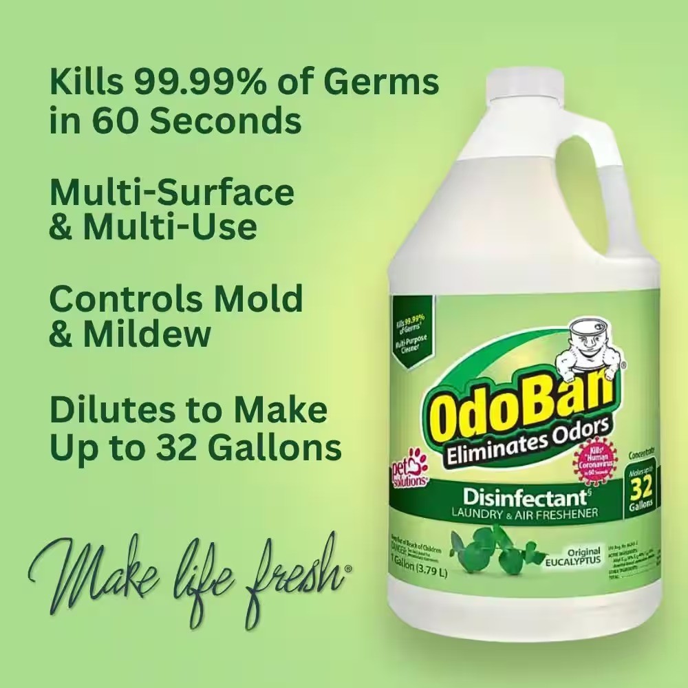 OdoBan 3.75 in.Cotton Wet Mop, 12 qt. Bucket with Wringer and 1 Gal. Eucalyptus
