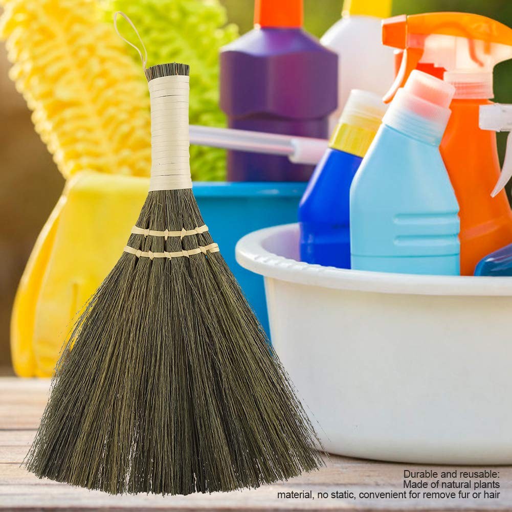Whisk Broom, Dust Brush Household Portable Cleaning Brush Handheld Brush Hand…