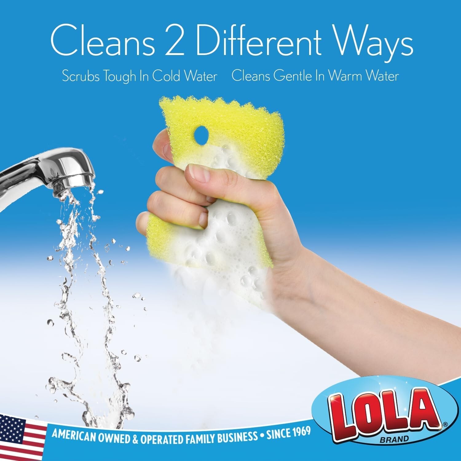 Lola Products Scrub Boss, Non-Scratch Scrubbing & Cleaning Sponge ( 9 Pack )…