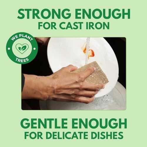 Eco-Friendly Kitchen Sponges 10 Pack – Biodegradable Cellulose & Coconut Scrubbe