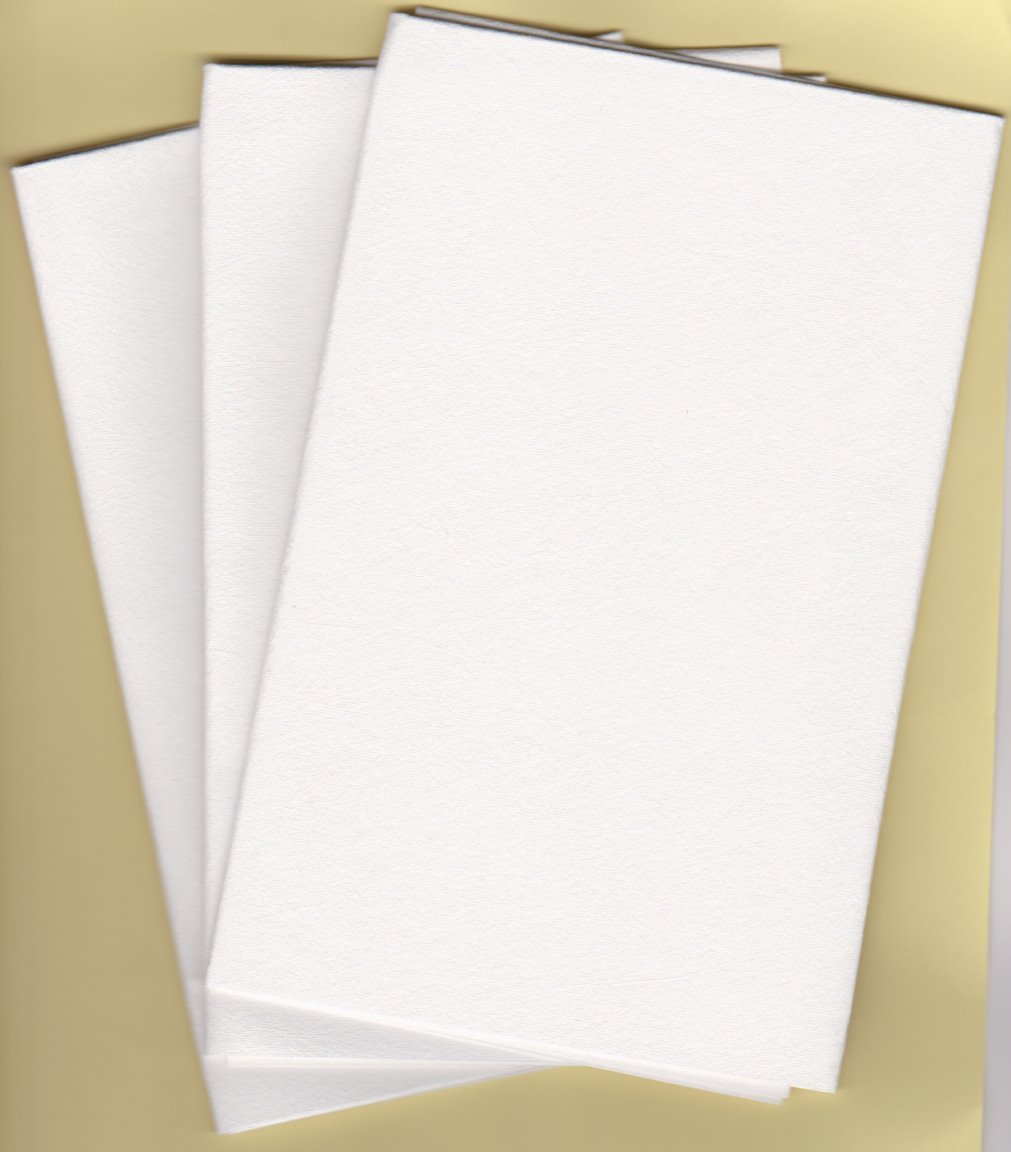 3 Streak Free MicroFiber Cleaning Cloths FREE! 1st Class Mail Made in Germany!