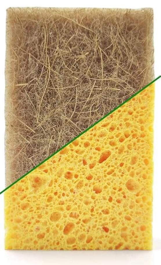 10 Pck Biodegradable Sponges Kitchen Natural Dishes Plant Based Plastic Free New