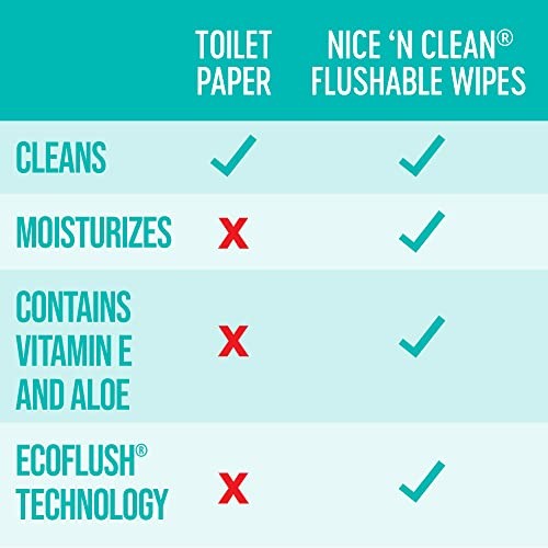 Nice ‘N Clean Nice N Clean Adult Flushable Wipes 3 X 60 Count Personal