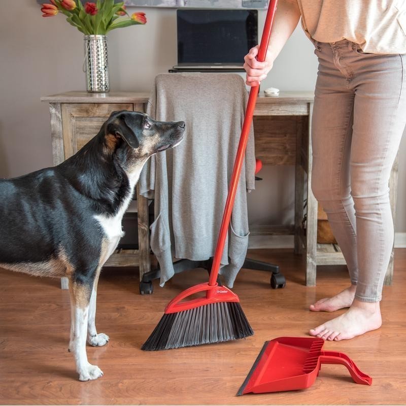Pet Pro Power Corner Broom W/ Step On Dust Pan Anti-Static Hair Cleaning Tool US