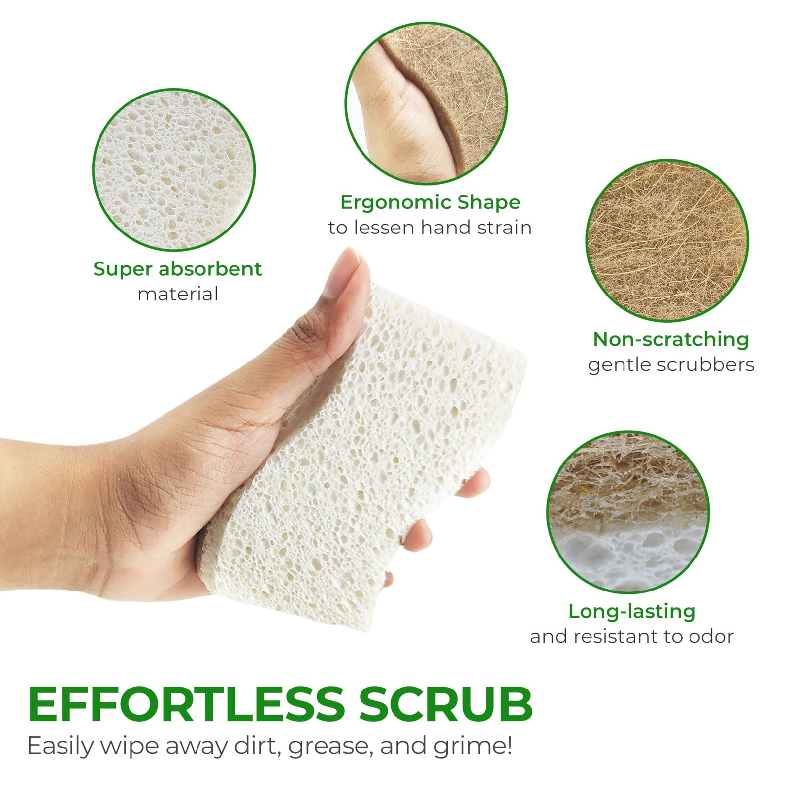 Natural Kitchen Sponges (12 Pack) – Biodegradable Cellulose & Coconut Scrubbe…