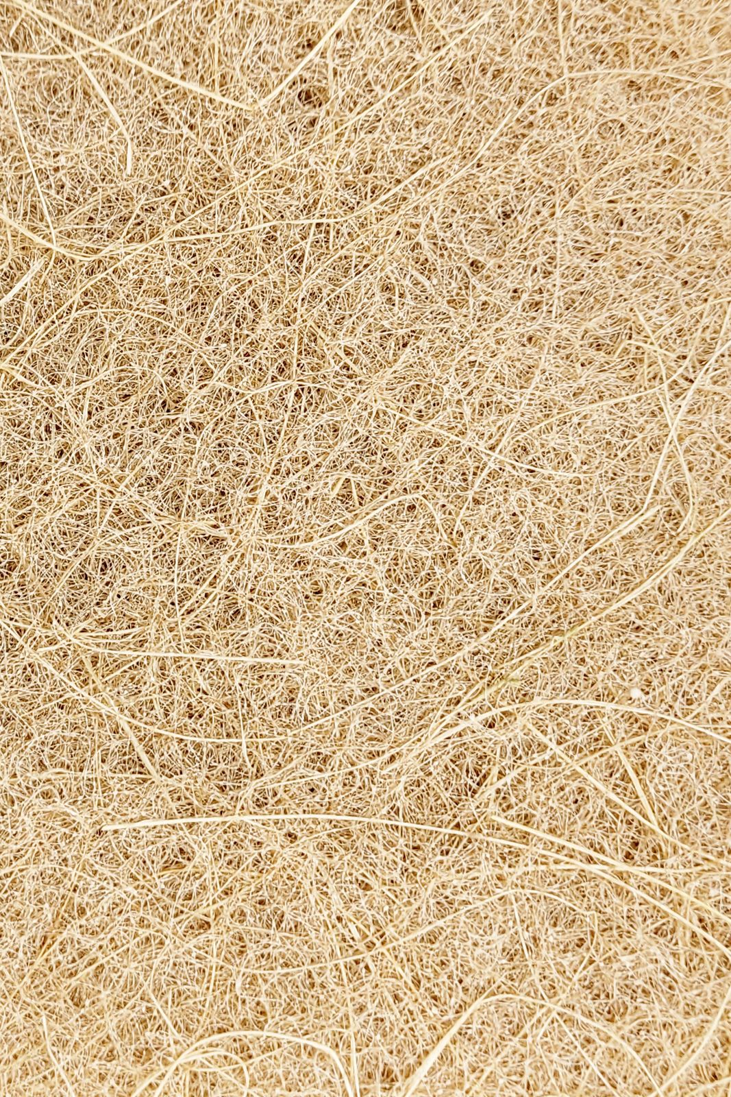 3-PACK – All Natural Scrub Pads – 100% Biodegradable Coconut Scouring Pads