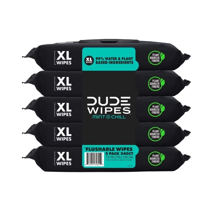 DUDE Flushable Wipes XL Mint Chill Wet Wipes 48 Ct 5 Pack 240 Total, New, Sale