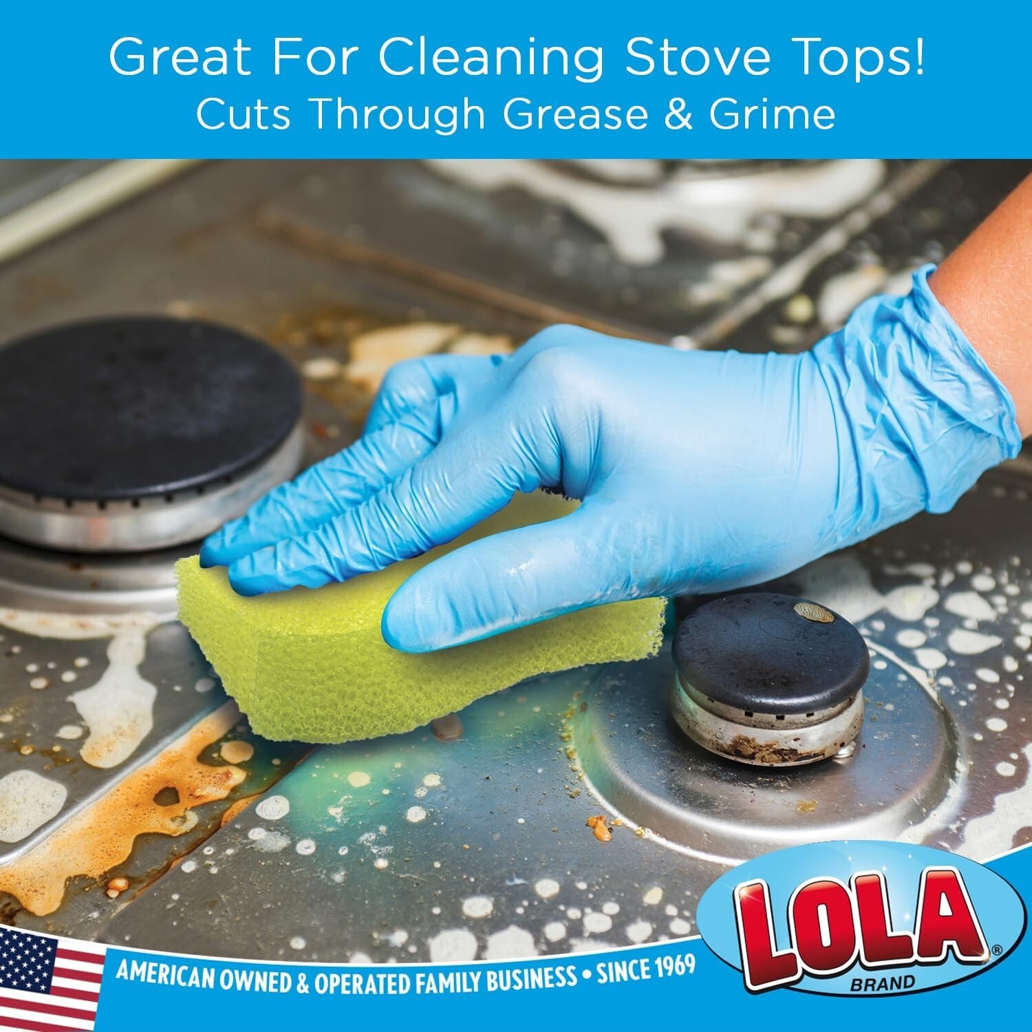Lola Products Scrub Boss, Non-Scratch Scrubbing & Cleaning Sponge ( 9 Pack )…