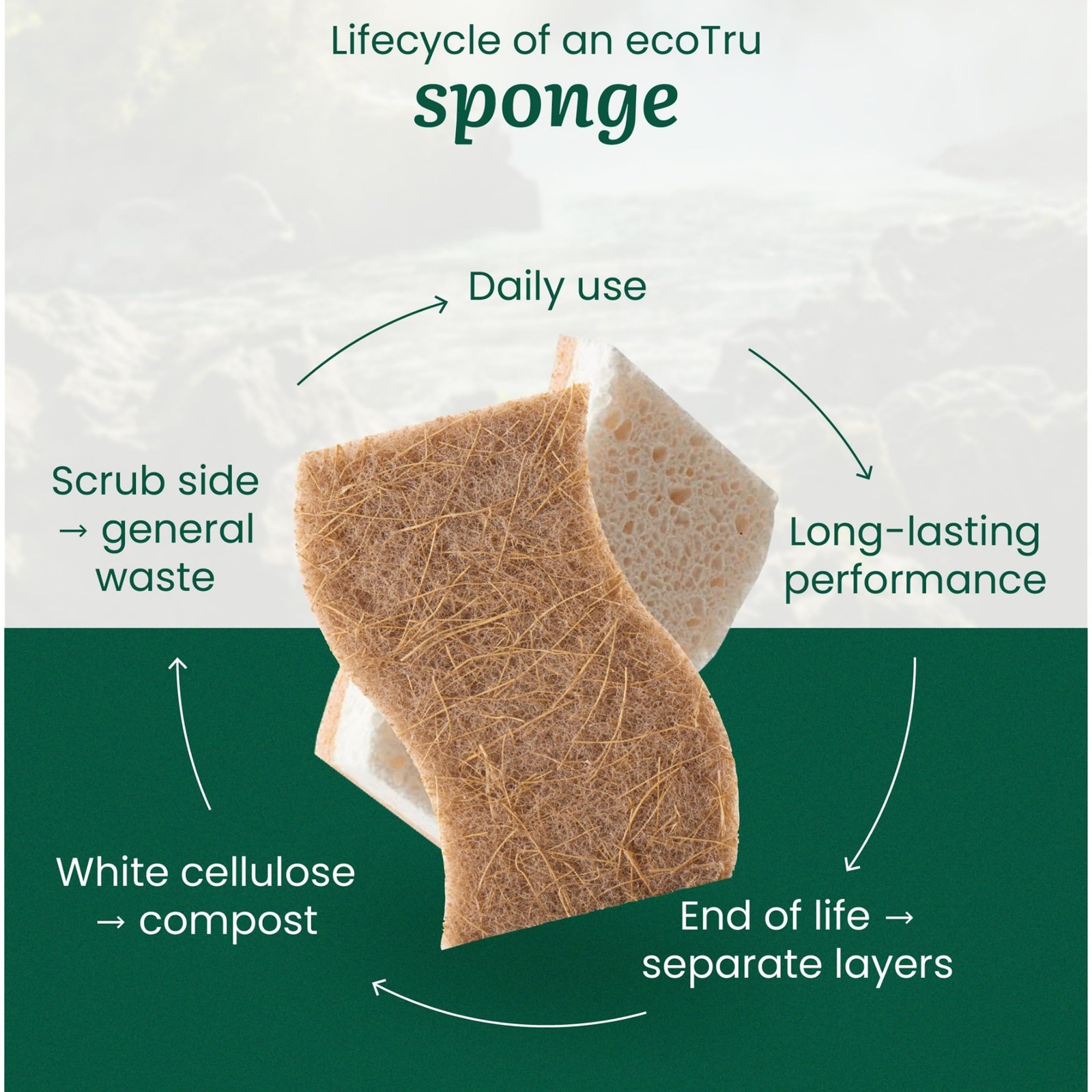 6 Pack Natural Kitchen Sponges, Compostable White Cellulose & Organic Coconut…