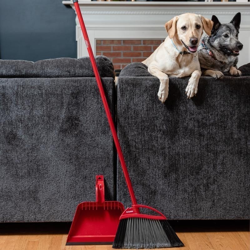 Pet Pro Power Corner Broom W/ Step On Dust Pan Anti-Static Hair Cleaning Tool US
