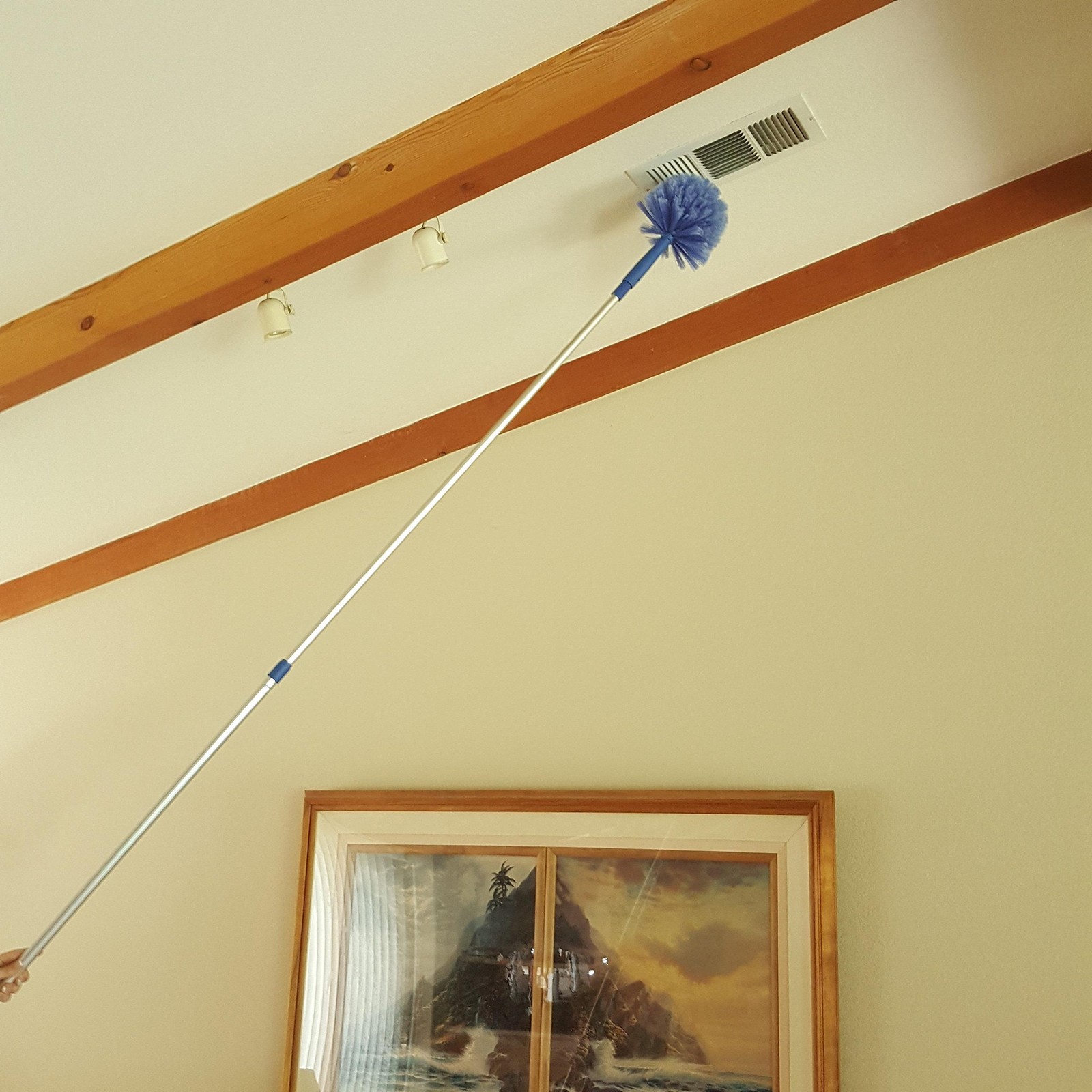 Cobweb Duster, Extendable Reach 20 feet, Ceiling 1 Count (Pack of 1), Blue
