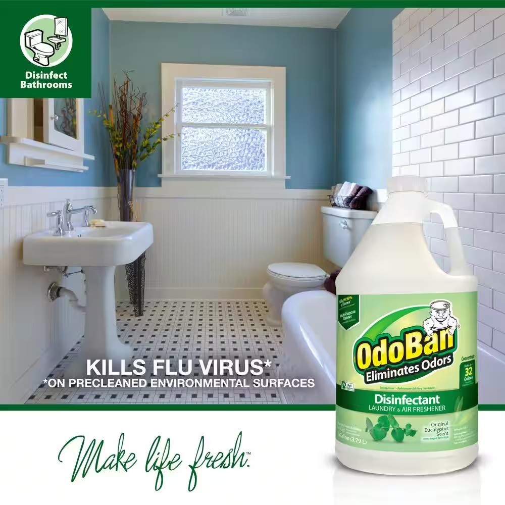 OdoBan 3.75 in.Cotton Wet Mop, 12 qt. Bucket with Wringer and 1 Gal. Eucalyptus