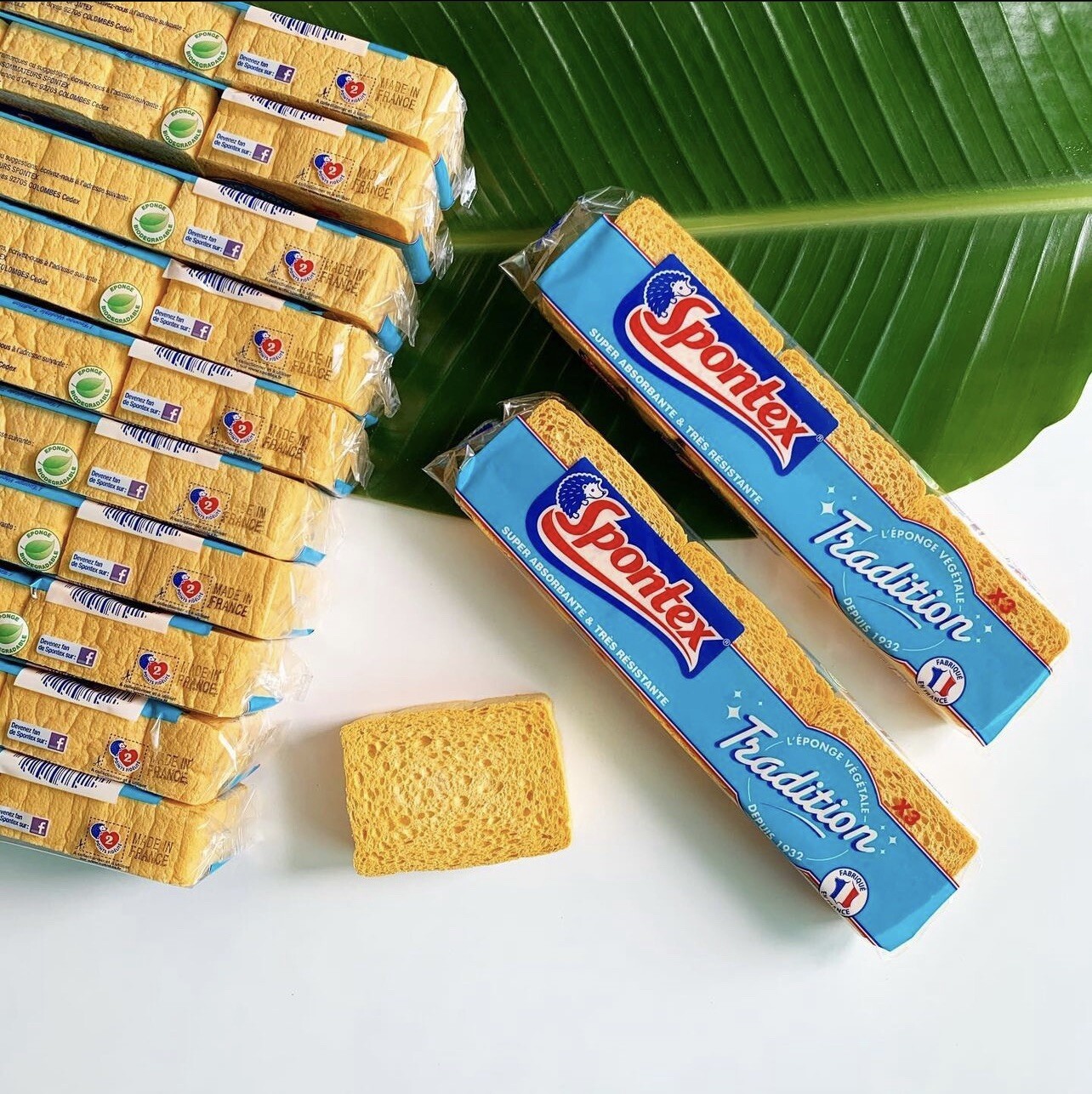 Spontex Sponges Tradition Super Absorbent Vegetable Cellulose 1Pack / 3ea x 12P