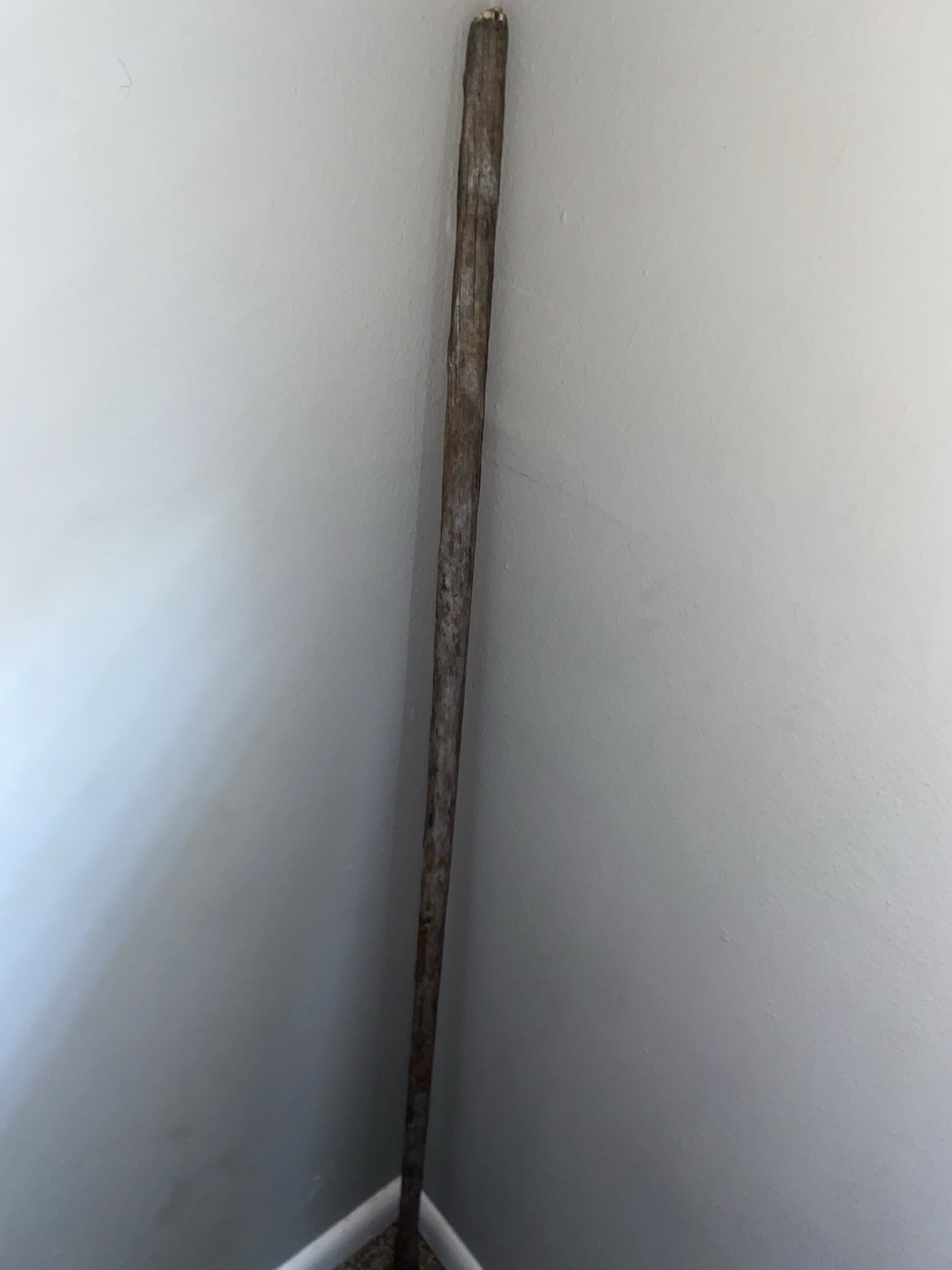Regular Mop Stick