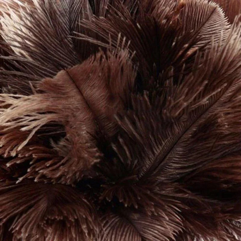 NEW Household Anti-Static Ostrich Feather Brush Wooden Handle Duster Dust Remova