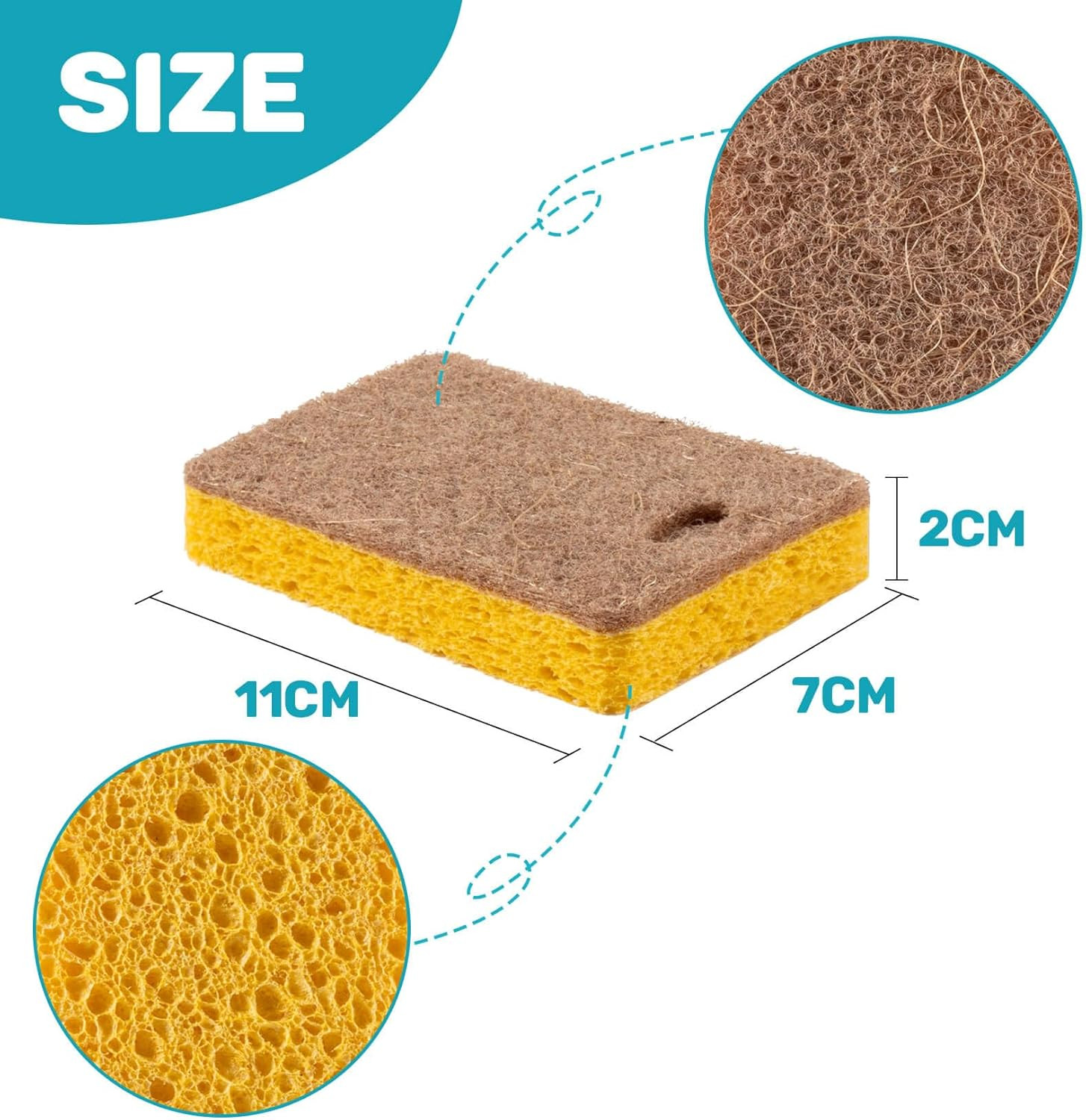 10PCS Natural Sponges for Dishes – Biodegradable Sponges Kitchen Eco Friendly Di