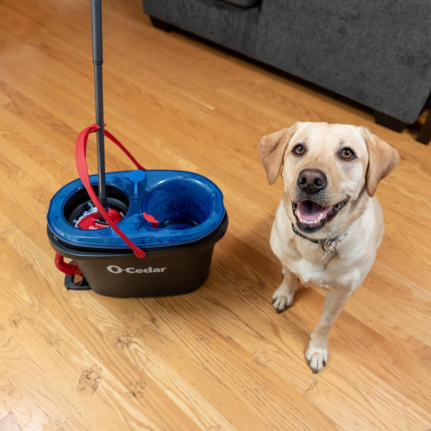 O-Cedar RinseClean Spin Mop & Bucket System | Clean with Clean Water | Remove…