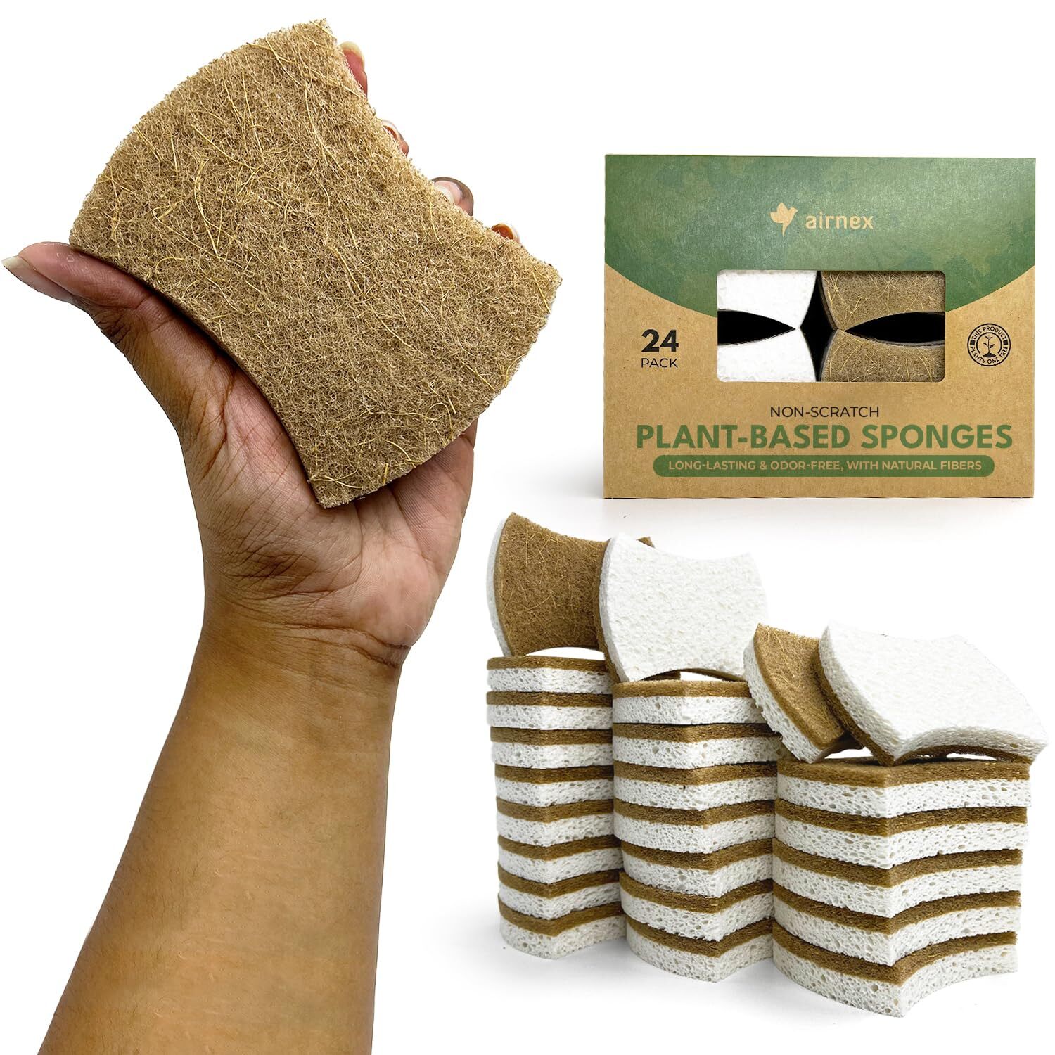 Biodegradable Natural Kitchen Sponges Pack Of 24 Cellulose And Coconut Kitchen S