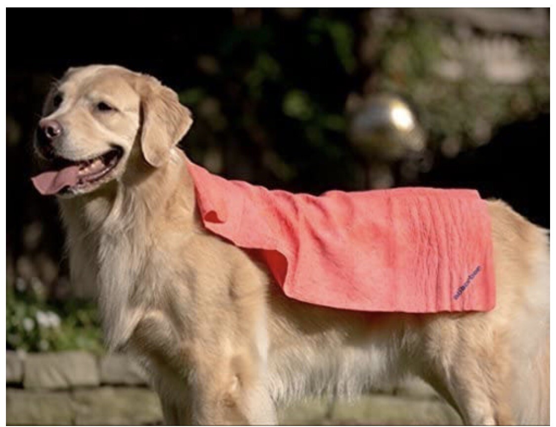 The Absorber Synthetic Premium Drying Chamois Cloth. Large (27 x 17 In.) Yellow