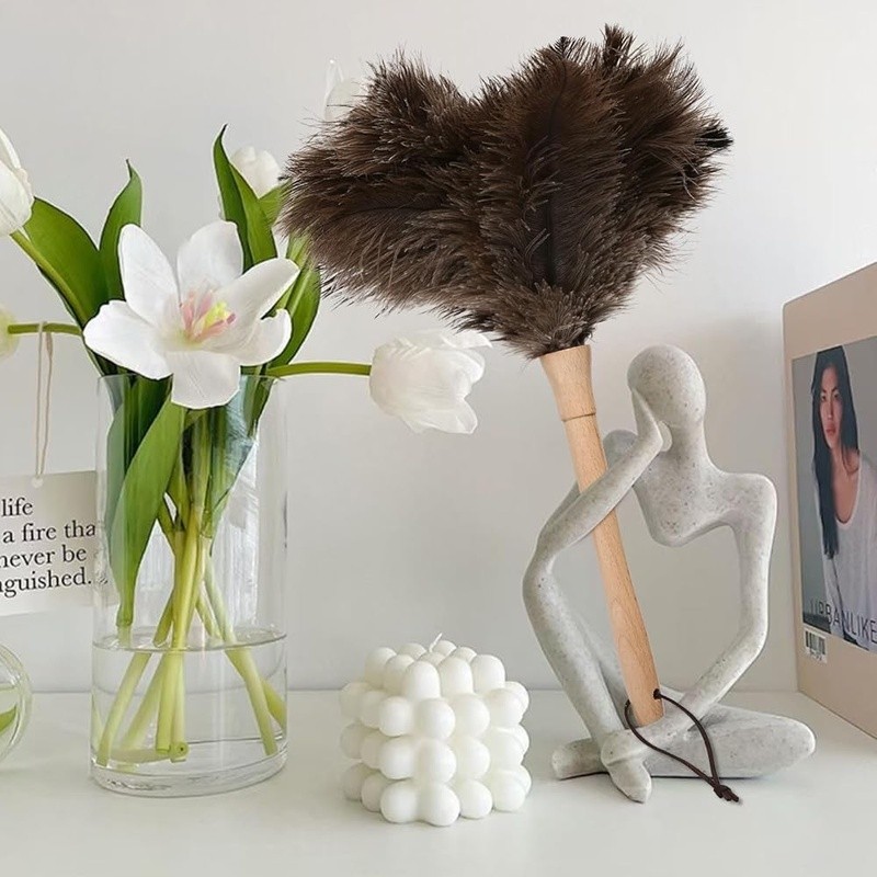 Ostrich Feather Duster Anti-Static Wooden Handle Dust Cleaning Tool Home Office