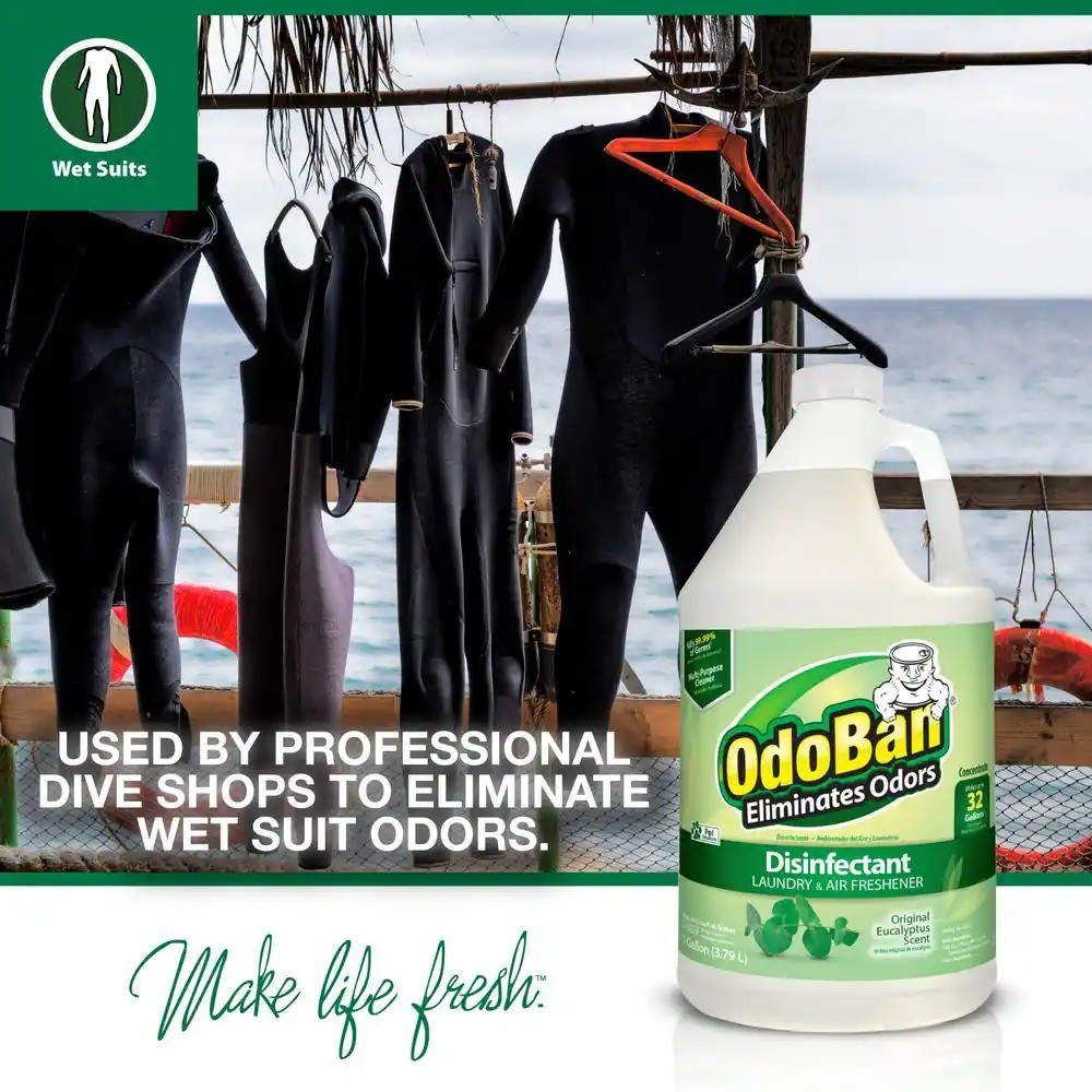 OdoBan 3.75 in.Cotton Wet Mop, 12 qt. Bucket with Wringer and 1 Gal. Eucalyptus