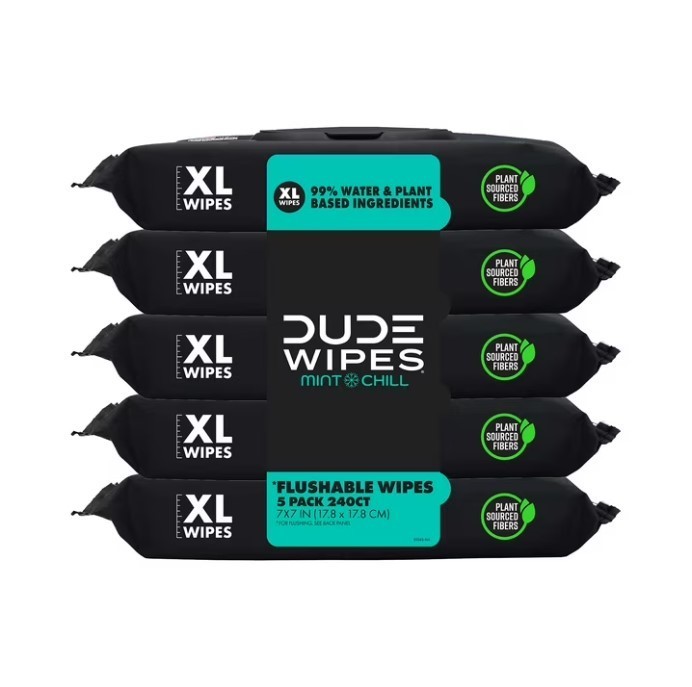 DUDE Flushable Wipes XL Mint Chill Wet Wipes 48 Ct 5 Pack 240 Total, New, Sale