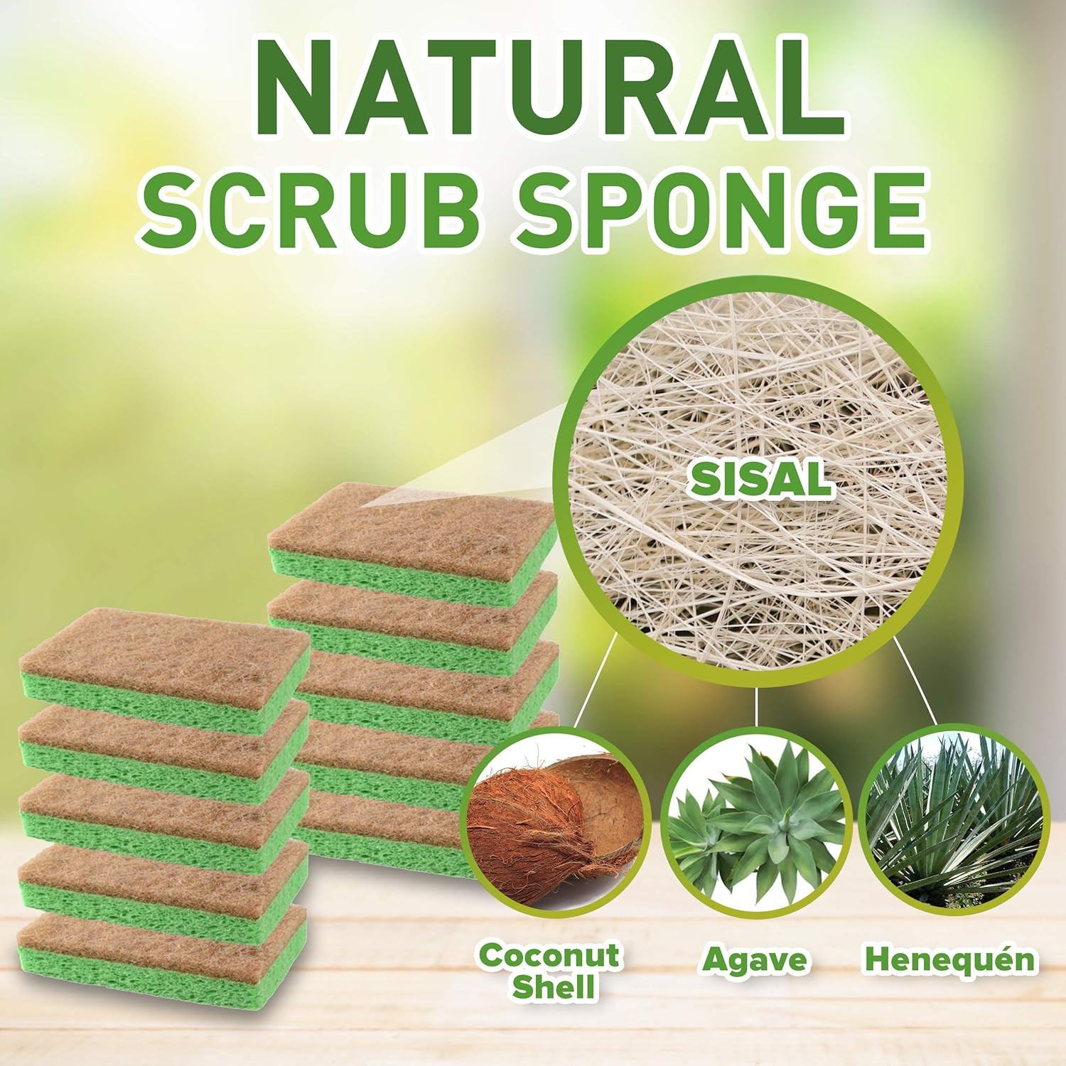 24 Pack Natural Sponges – Biodegradable Compostable Cellulose and Coconut Natura