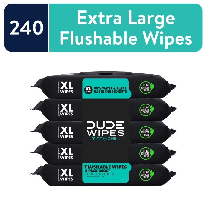 DUDE Flushable Wipes XL Mint Chill Wet Wipes 48 Ct 5 Pack 240 Total, New, Sale